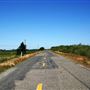Various Rural Farms And Ranches
