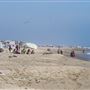 Mandalay State Beach (SB)