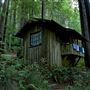 Mendocino Woodlands State Park (SP)