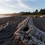 Pelican State Beach (SB)