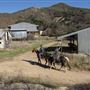 Wildwood Canyon Park Property
