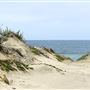 Zmudowski State Beach (SB)