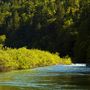 Smithe Redwoods State Natural Reserve (SNR)