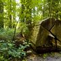 Smithe Redwoods State Natural Reserve (SNR)