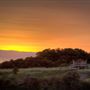 Vision Quest Ranch - Monterey Zoological Society
