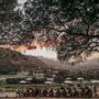 Carmel Valley Ranch Hotel