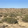 Carr Canyon Ranch