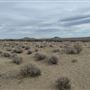 Slice of Nowhere