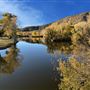 The Painted Turtle Camp