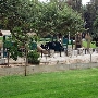Garfield Park