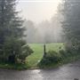 Camp Russian River