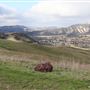 Rancho San Fernando Rey