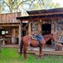 Old West Saloon and Brothel