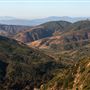Aliso and Wood Canyons Wilderness Park