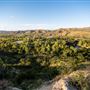 Irvine Regional Park