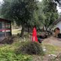 Red Thorne Ranch / The Barn Loft / Mini Petting Zoo