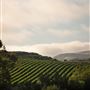 California Polytechnic State University, San Luis Obispo