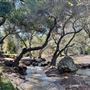 Canyon Ranch