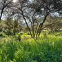 Canyon Ranch
