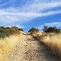 Canyon Ranch