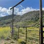 Canyon Ranch