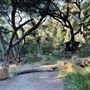 Canyon Ranch
