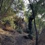 Canyon Ranch