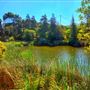 Franklin Canyon Park - Santa Monica Mountains Conservancy - SMMC