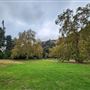 Franklin Canyon Park - Santa Monica Mountains Conservancy - SMMC