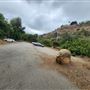 Franklin Canyon Park - Santa Monica Mountains Conservancy - SMMC