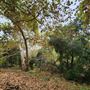 Franklin Canyon Park - Santa Monica Mountains Conservancy - SMMC