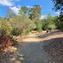 Franklin Canyon Park - Santa Monica Mountains Conservancy - SMMC