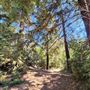 Franklin Canyon Park - Santa Monica Mountains Conservancy - SMMC
