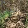 Franklin Canyon Park - Santa Monica Mountains Conservancy - SMMC