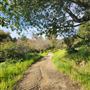Franklin Canyon Park - Santa Monica Mountains Conservancy - SMMC
