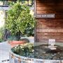 Alila Ventana Big Sur