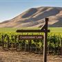 Santa Barbara Wine Country
