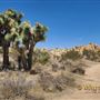 160 Acres
