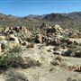 Shadow Ranch