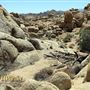 One45 - Desert Rocks