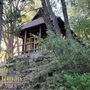 Lawler Lodge and Cabins