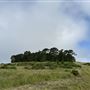 Rosko Ranch