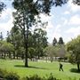 University of California, Los Angeles - UCLA