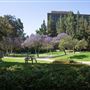 University of California, Los Angeles - UCLA