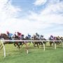 Del Mar Thoroughbred Club