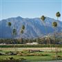 Santa Anita Park