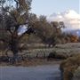 Kemper Campbell Ranch