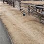 Kemper Campbell Ranch