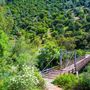 Iowa Hill Bridge