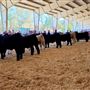 Lake County Fair - 49th DAA